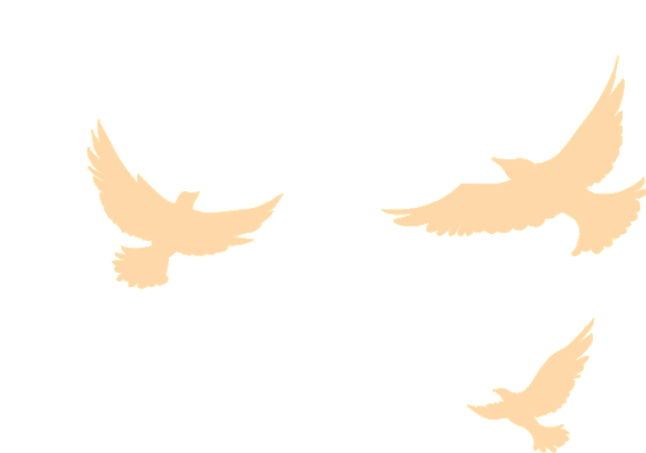 筑梦启程|珠海AG贵宾会2025迎新晚会暨2024年度表彰大会 筑梦启程|珠海AG贵宾会2025迎新晚会暨2024年度表彰大会