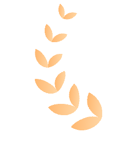 喜报|合肥AG贵宾会成功入选合肥市重点产业链企业 喜报|合肥AG贵宾会成功入选合肥市重点产业链企业