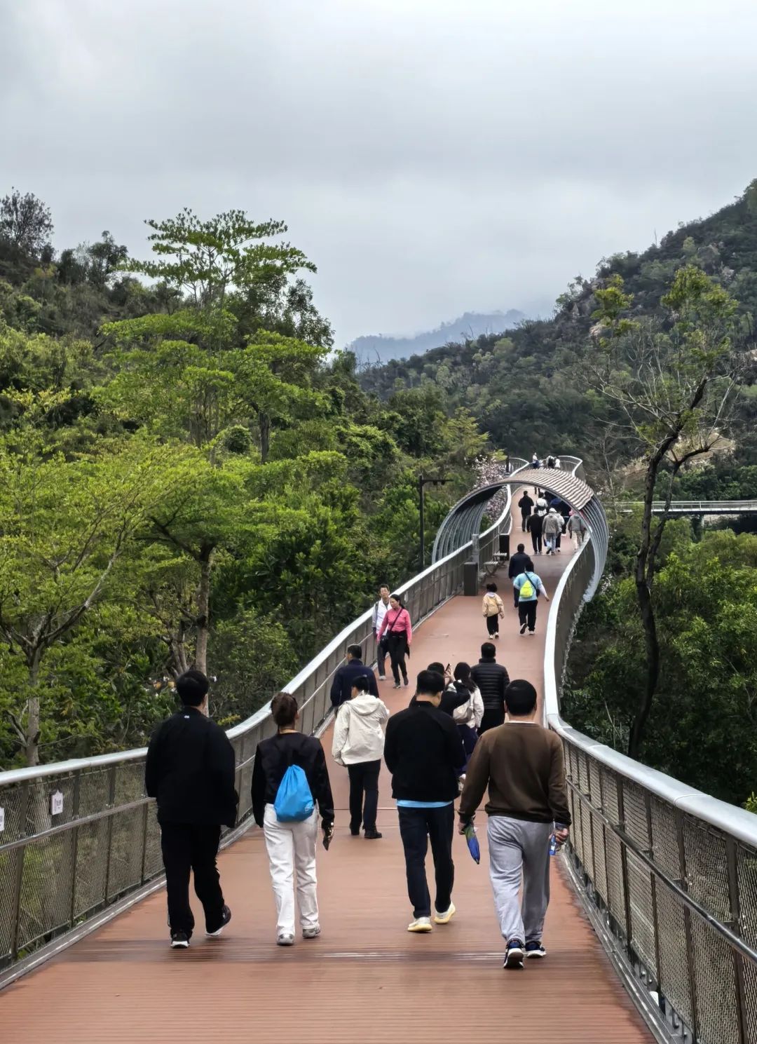 寻芳觅趣正当时,不负春光踏歌行 寻芳觅趣正当时,不负春光踏歌行