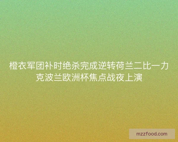 橙衣军团补时绝杀完成逆转荷兰二比一力克波兰欧洲杯焦点战夜上演 橙衣军团补时绝杀完成逆转荷兰二比一力克波兰欧洲杯焦点战夜上演