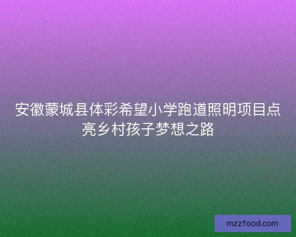 安徽蒙城县体彩希望小学跑道照明项目点亮乡村孩子梦想之路